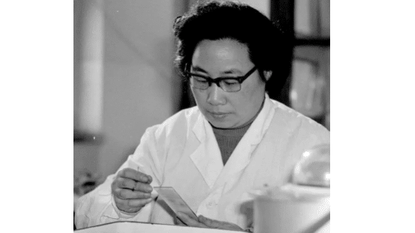MR Online | Beginning in 1969 Chinese scientist Tu Youyou led more than 500 researchers to develop a malaria treatment The project began to assist Vietnam but it has gone on to save millions of lives all over the world especially in the Global South | MR Online